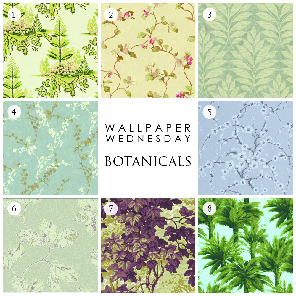 wallpaper wednesday - botanicals nature plants
